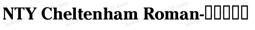 NTY Cheltenham Roman字体转换